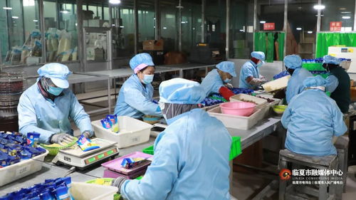 春节订单激增 临夏乡村就业工厂冲刺开门红