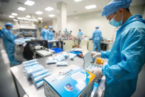 全市重点项目上半年顺利实现‘双过半’任务，投资额达123亿元，职业中介服务助力发展